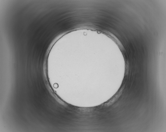 X0000111830812200909031512
