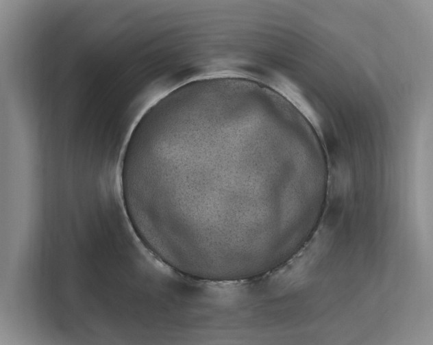 X0000111830813200909031512