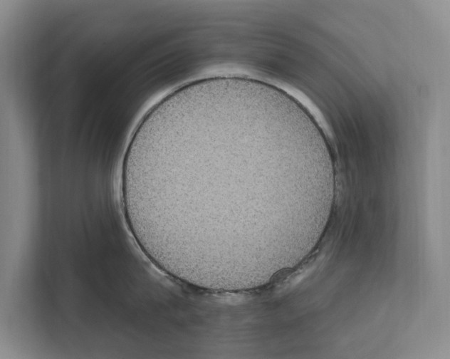 X0000111830815200909031512