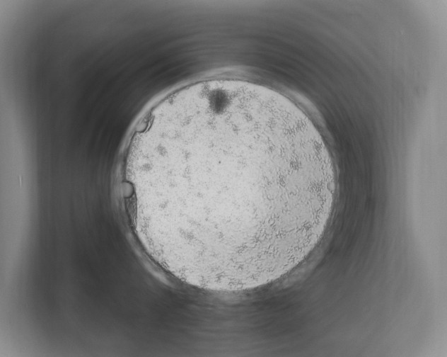 X0000111830816200909031512