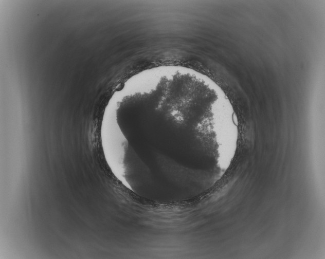 X0000111830818200909031511