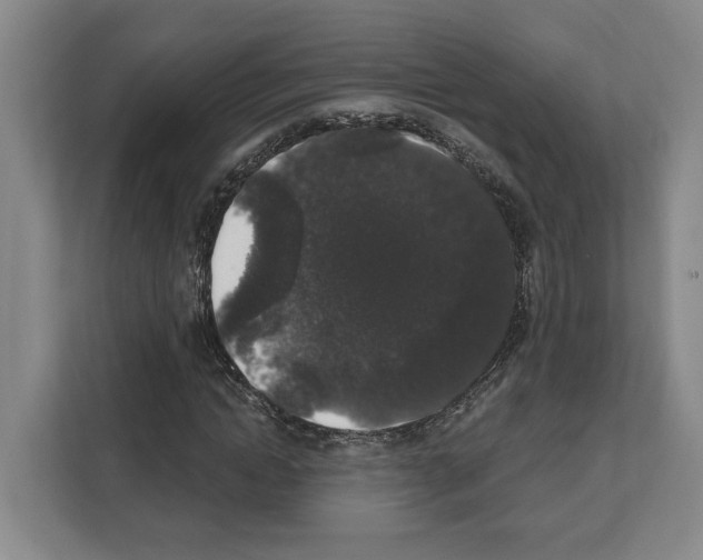X0000111830822200909031511