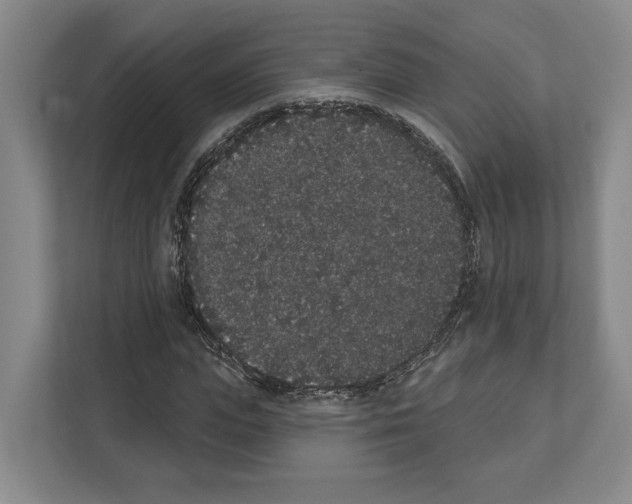 X0000111830823200909031511