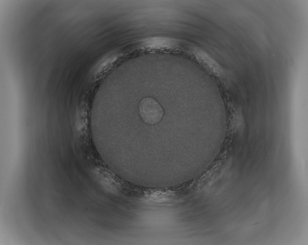X0000111830824200909031511