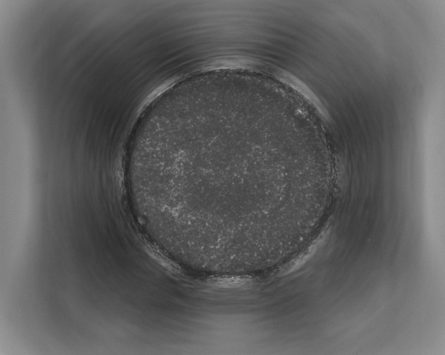 X0000111830826200909031511