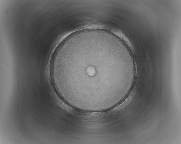 X0000111830828200909031511