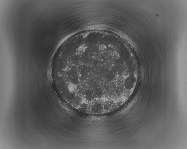 X0000111830830200909031512