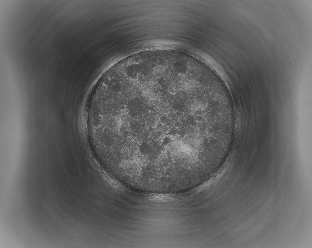 X0000111830835200909031512