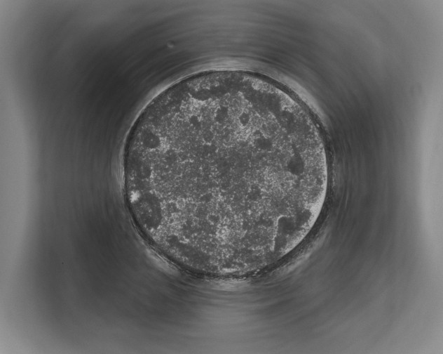 X0000111830837200909031512