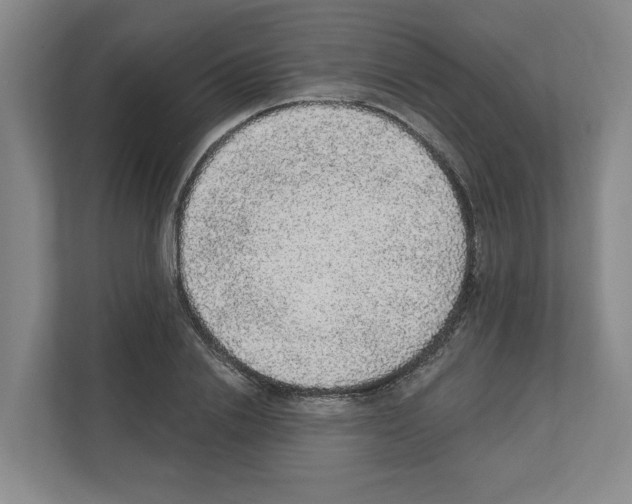 X0000111830838200909031512