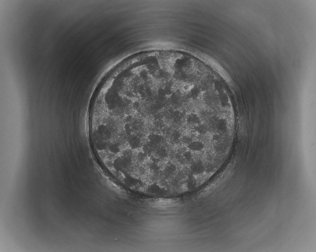 X0000111830839200909031512