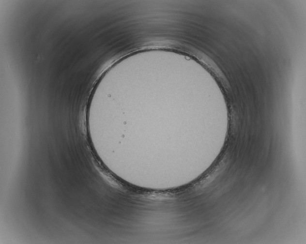X0000111830842200909031512