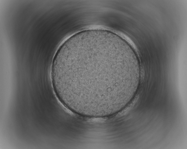 X0000111830847200909031512