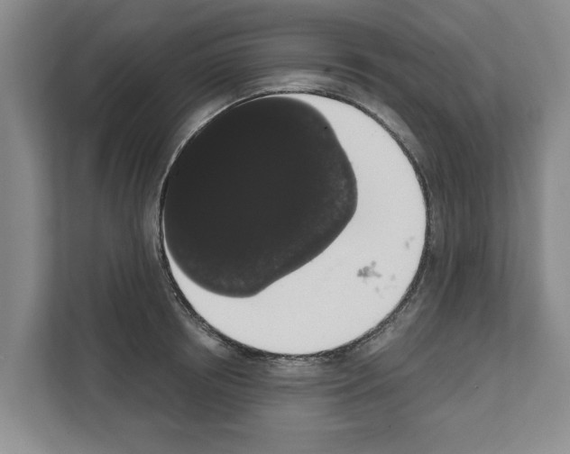 X0000111830850200909031512