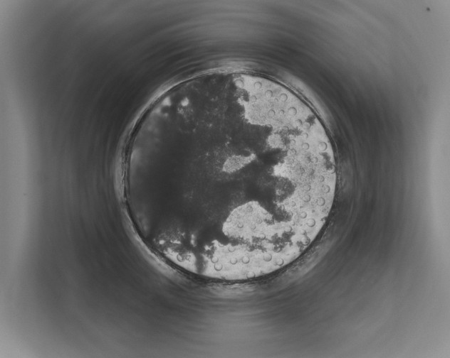 X0000111830851200909031512
