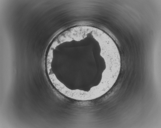 X0000111830853200909031512