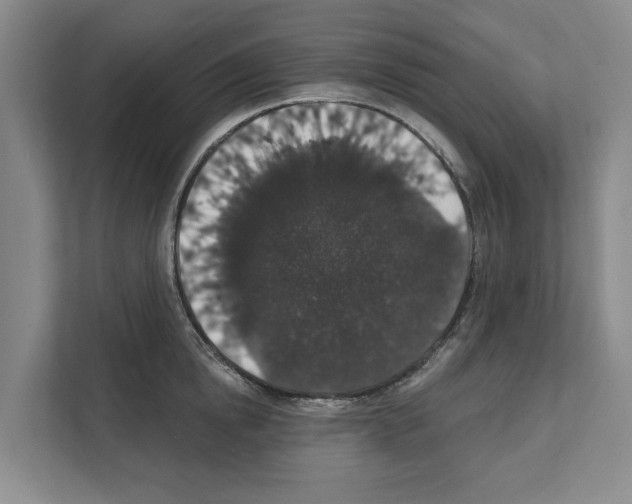 X0000111830854200909031512