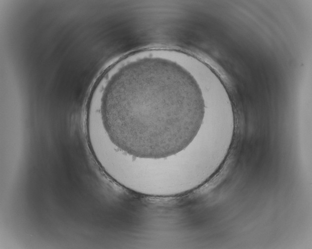 X0000111830856200909031512
