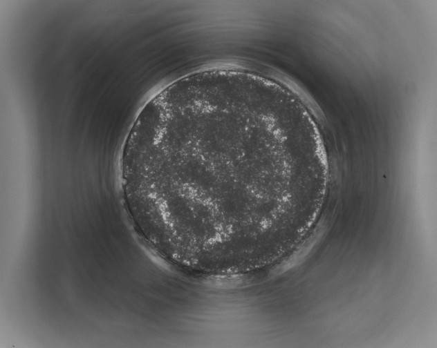 X0000111830858200909031512