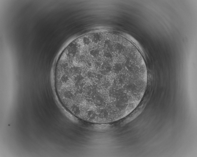 X0000111830859200909031512