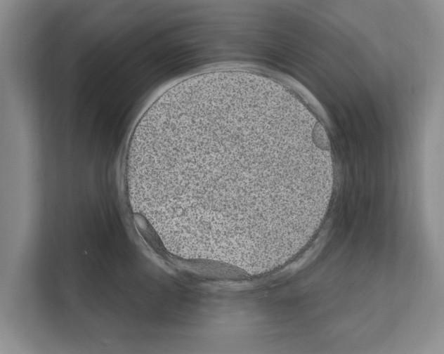 X0000111830860200909031512