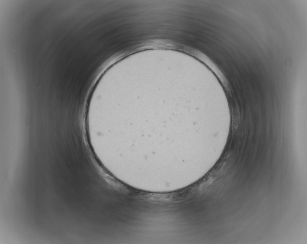 X0000111830861200909031512