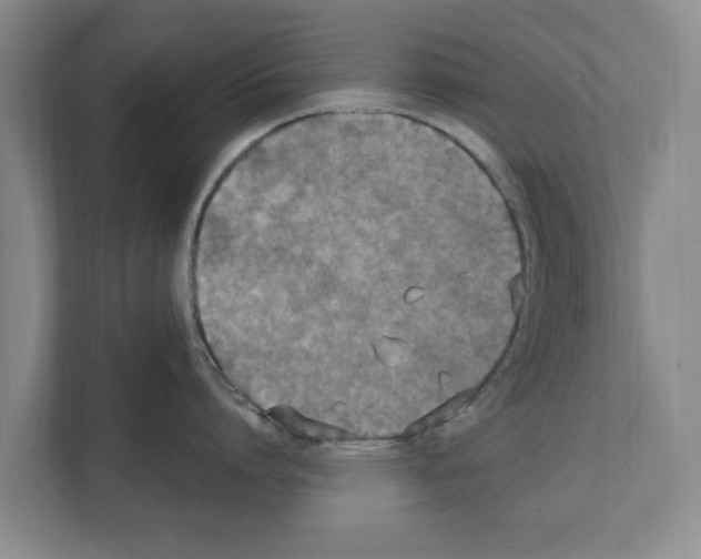 X0000111830864200909031512