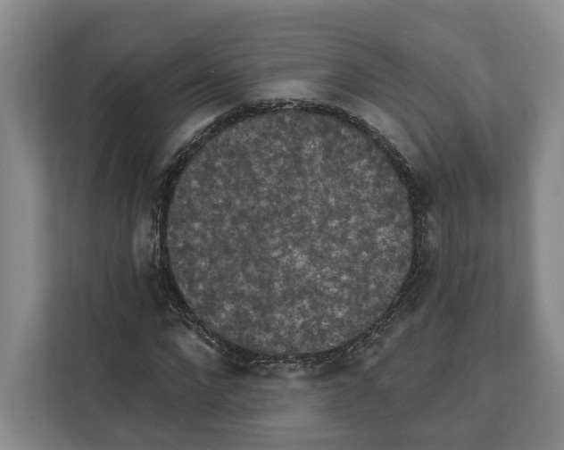 X0000111830872200909031511