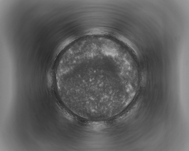 X0000111830874200909031511