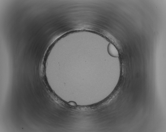 X0000111830876200909031511