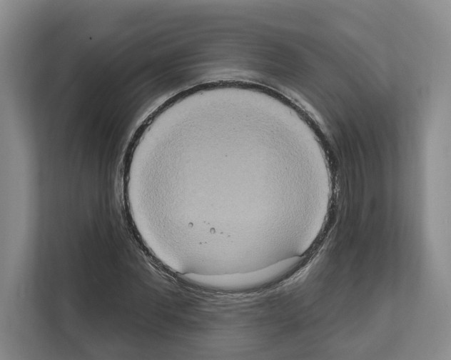 X0000111830877200909031511