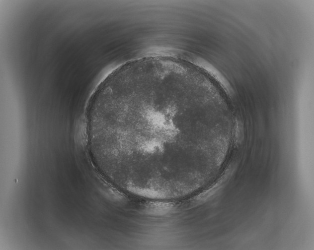 X0000111830878200909031511