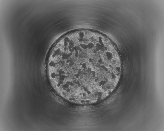 X0000111830879200909031511