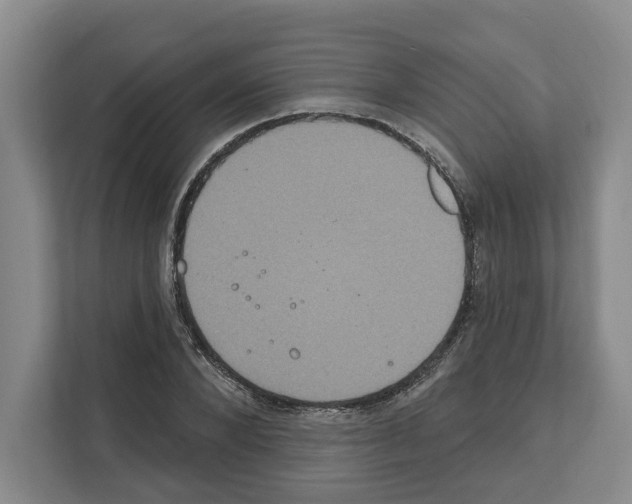 X0000111830880200909031511