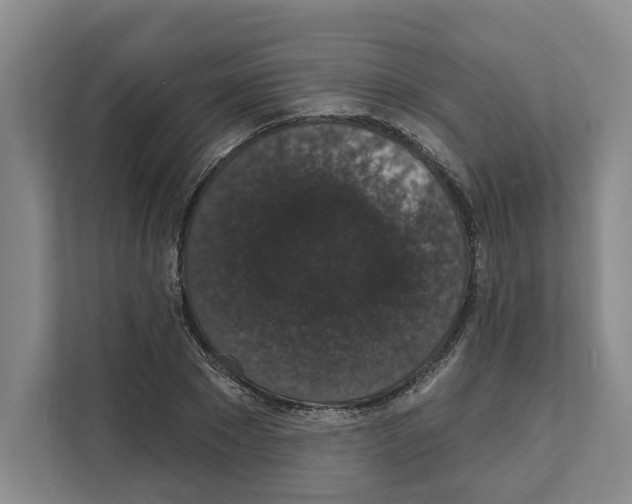 X0000111830881200909031511
