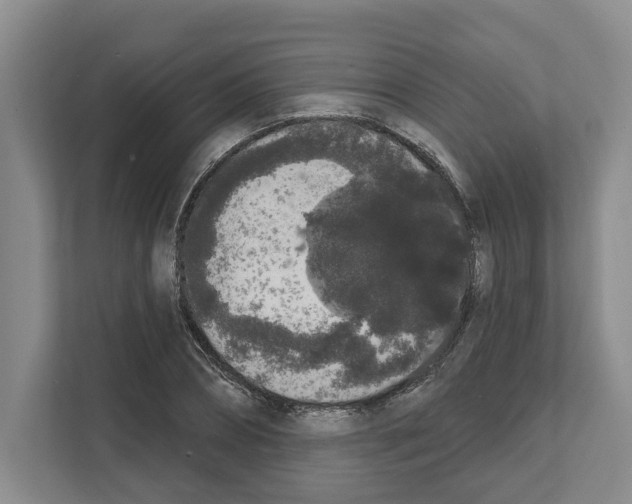 X0000111830882200909031511