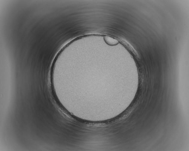 X0000111830884200909031511