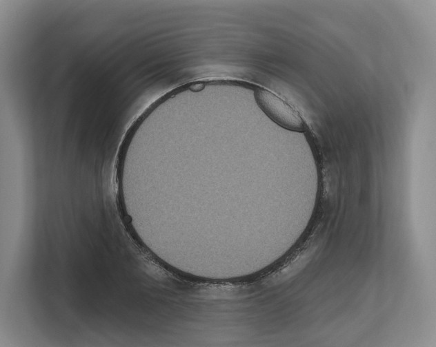 X0000111830885200909031511