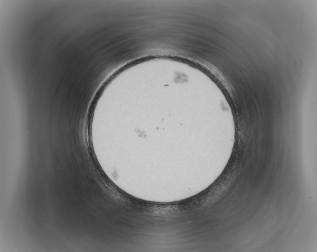 X0000111830887200909031511