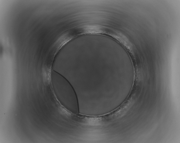 X0000111830889200909031511