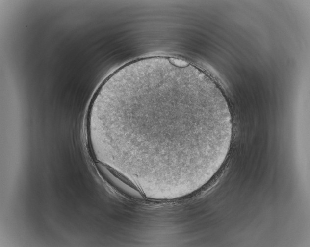 X0000111830892200909031511