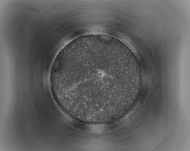 X0000111830893200909031511