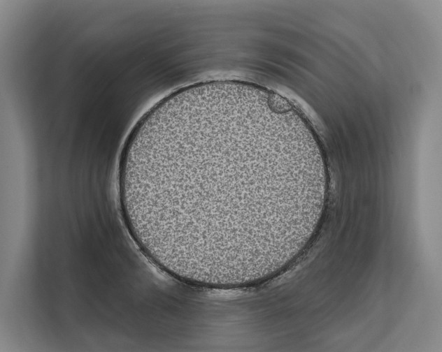 X0000111830894200909031511