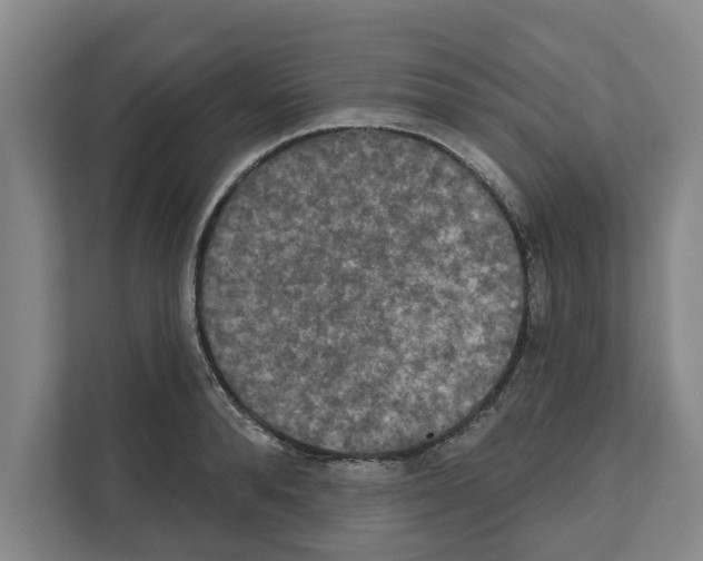 X0000111830896200909031511
