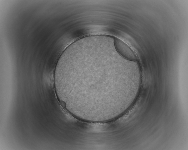 X0000111830897200909031511