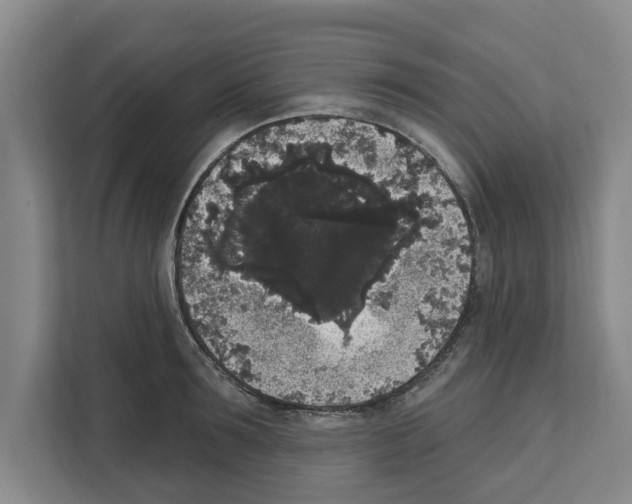 X0000111830899200909031511
