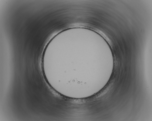 X0000111830901200909031511