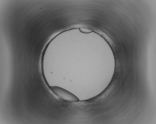 X0000111830902200909031511