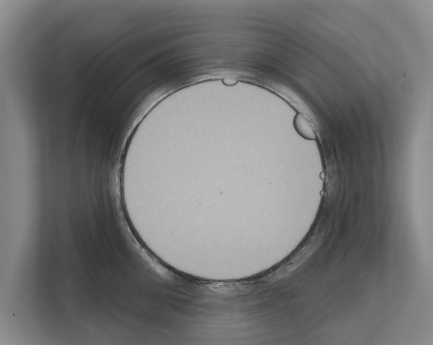 X0000111830906200909031511