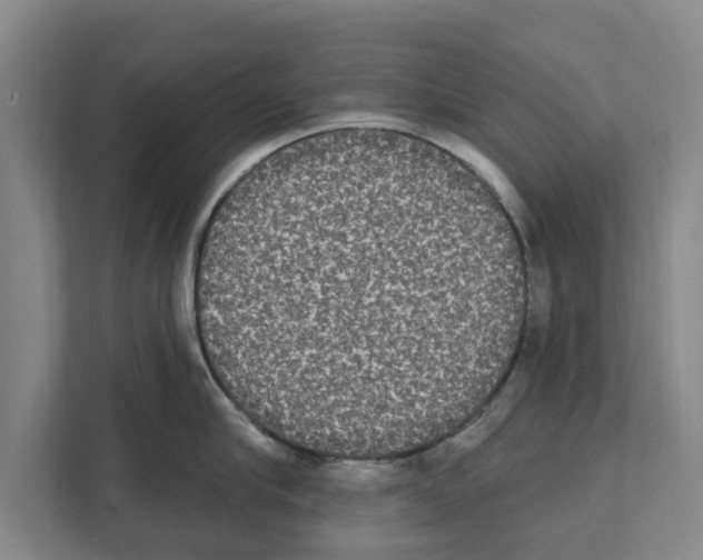 X0000111830910200909031511